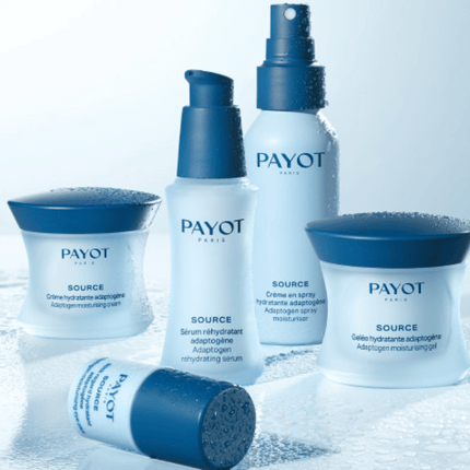 Collection image for: Payot Source