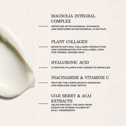 Payot Supreme Absolu Youth Cream 50ml