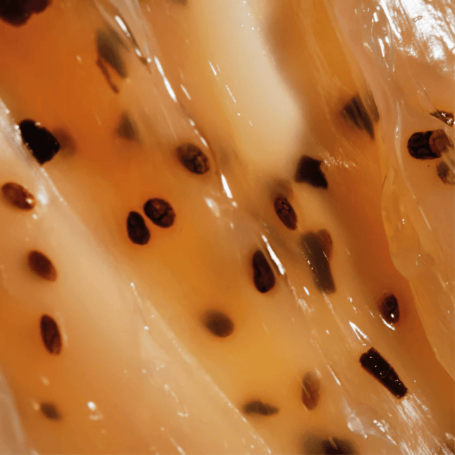 Baija Jolly Feet Nourishing Foot Mask - 30ml