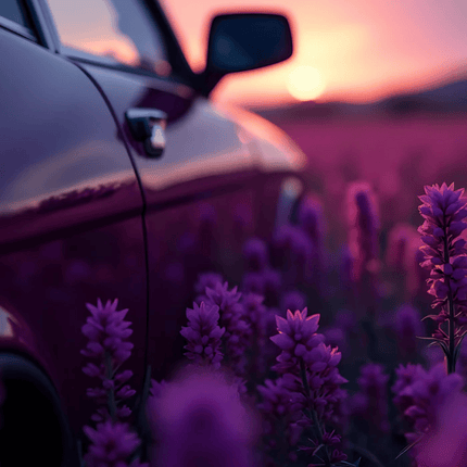 Baija Parfum Voiture Nuit Interdite - Sensual Violet Car Scent