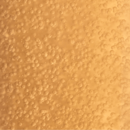 Payot Supreme Absolu Micro-Pearl Youth Infusion 100ml