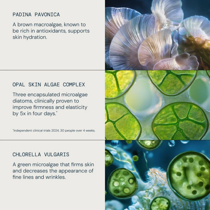 Elemis Pro-Collagen Revitalise & Rejuvenate Routine Gift Set